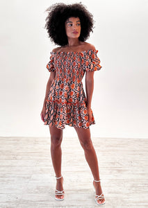 Bryony Mini Dress in Orange Snake