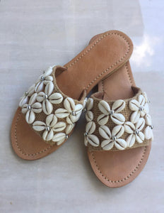 Shelled Sliders