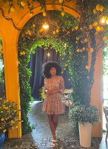 Toni Dress in Brown Leopard