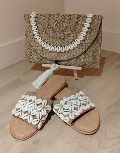 Shelled Sliders